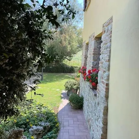 Monte Pagliaio Terra del Sole