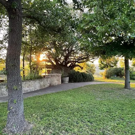 Monte Pagliaio * Terra del Sole