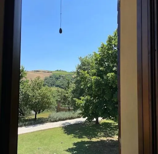 Monte Pagliaio * Terra del Sole