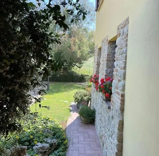 Monte Pagliaio Terra del Sole