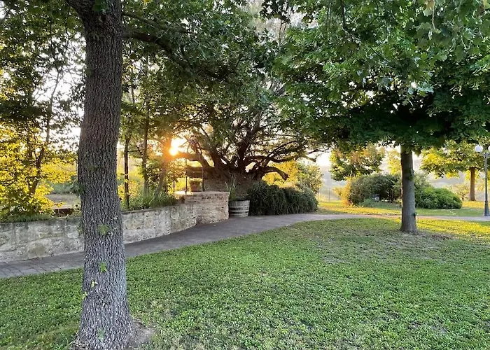 Monte Pagliaio * Terra del Sole