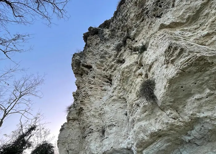 Monte Pagliaio Terra del Sole